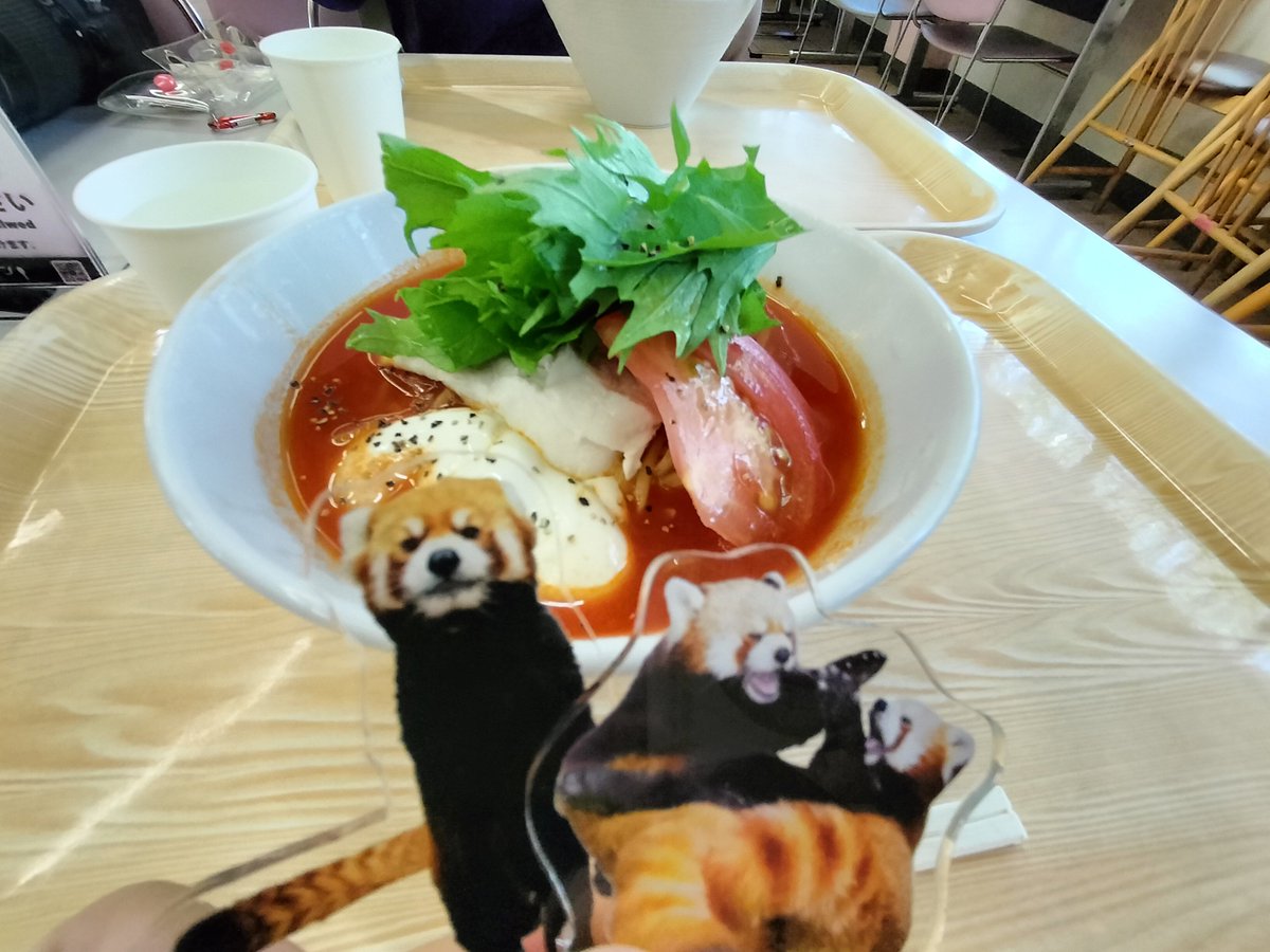 kyon_rp_'s tweet image. 今日のダイラランチはトマトチーズラーメン(5日ぶり2回目)

東京から赤パン誕生祝いとグッズ購入とこのラーメン食べに来た方とご一緒に🤭🍅🧀