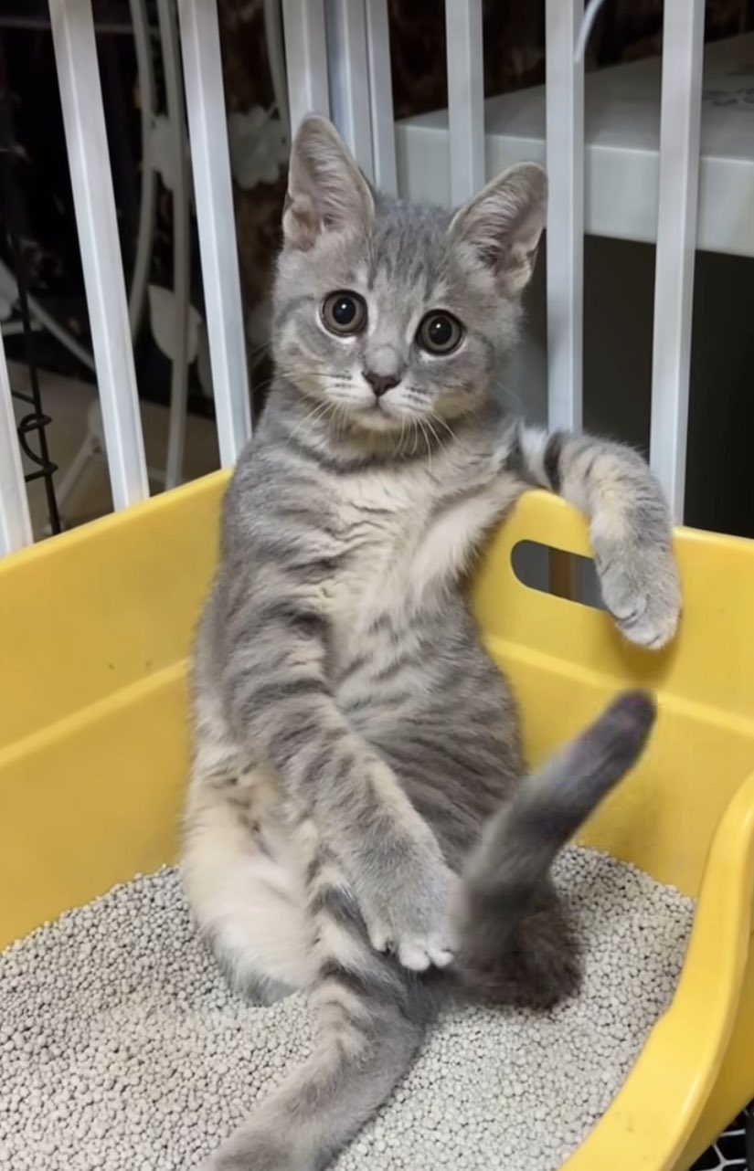 なつ 様 7月16日までに必ずご購入お願い致します SOLD OUT For sale $320 shipped worldwide. LTDEDN POLICE R34