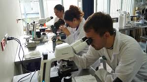 ¿Prosperidad o atraso económico?
Más allá de los enconados debates de corte ideológico, la mayoría inspirados en el hígado y no en el cerebro, hay temas del presente y del futuro de #Nicaragua que deberían ocupar nuestra atención:
El 70% de nuestras exportaciones (2024) se