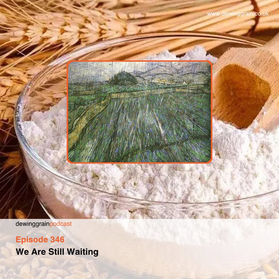 In this week’s bitesize episode Andrew starts by talking about how grateful he is for the futures wheat moving out of the store at a good pace.

Andrew makes an urgent point to the maltsters.

The likely lower yield on wheat gets discussed.

#Weather #Farming #Grain #Harvest