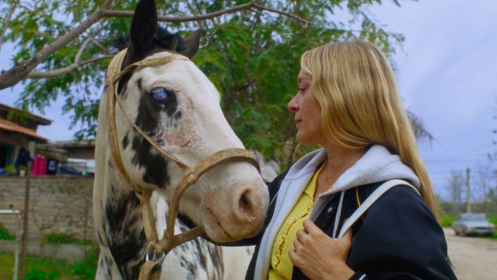 pabloagamba's tweet image. #CineLatinoamericano En #LosExperimentosCine escribimos sobre "Magic Farm", de Amalia Ulman, con Chloë Sevigny, que está disponible en plataformas:
losexperimentoscine.blog/2025/04/after-…