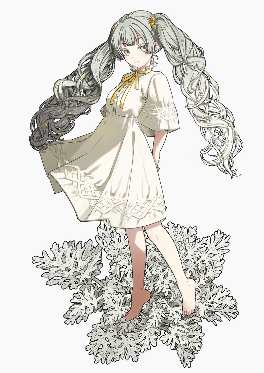 takuta_'s tweet image. シロタエギク🌱🤍