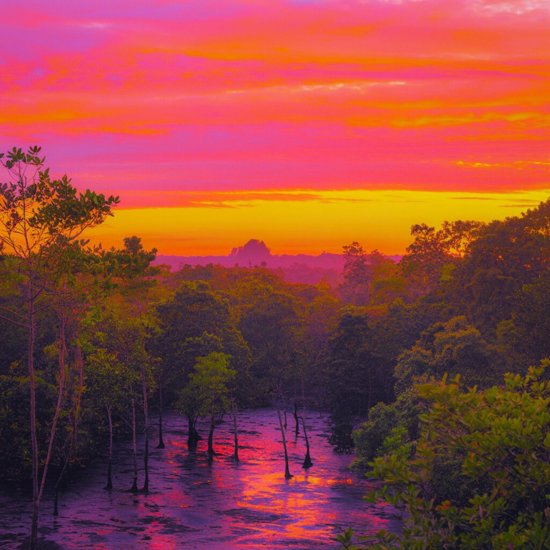 As daylight whispers its soft goodbye, the sun dips low in a painted sky.
                                   Happy weekend. GM.