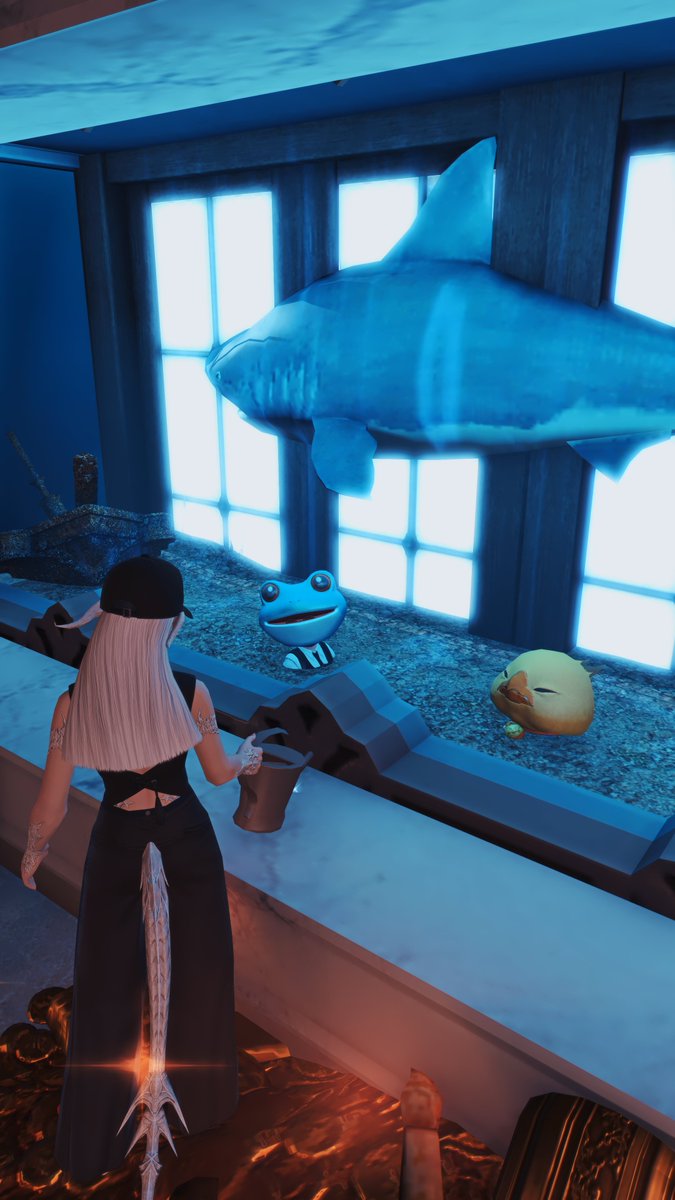 I swam in the tank with a frog at Gilded Repose! I saw the lonely frog chilling by itself, so I can't help but to go and disturb his peace! 😂

He looks really tasty too! Makes me crave for frog legs soup BOK BOK!

Website: gildedrepose.carrd.co 

Tonberry,Empy W8 P39