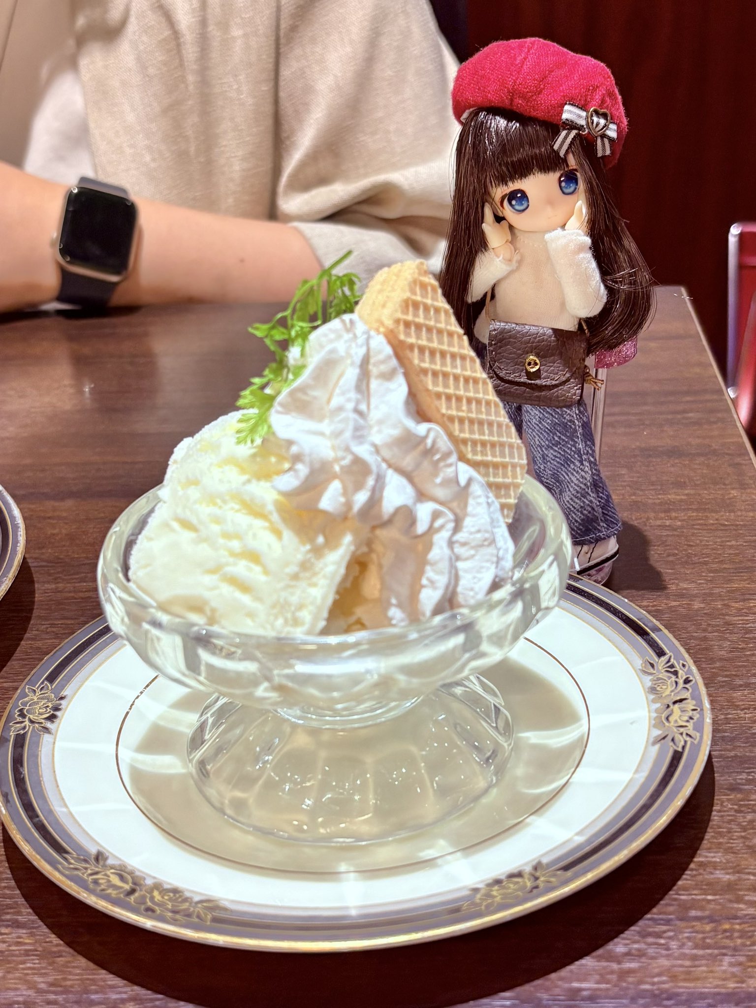 アガベ パープソラム　バニラアイス　天 アガベ パープソラム バニラアイス 天 - メルカリ
