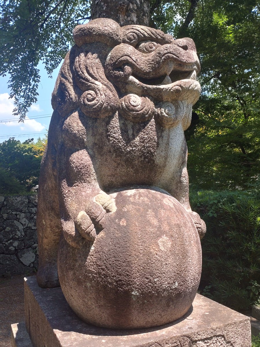 IWAMA_riki's tweet image. だいぶぽっちゃり犬