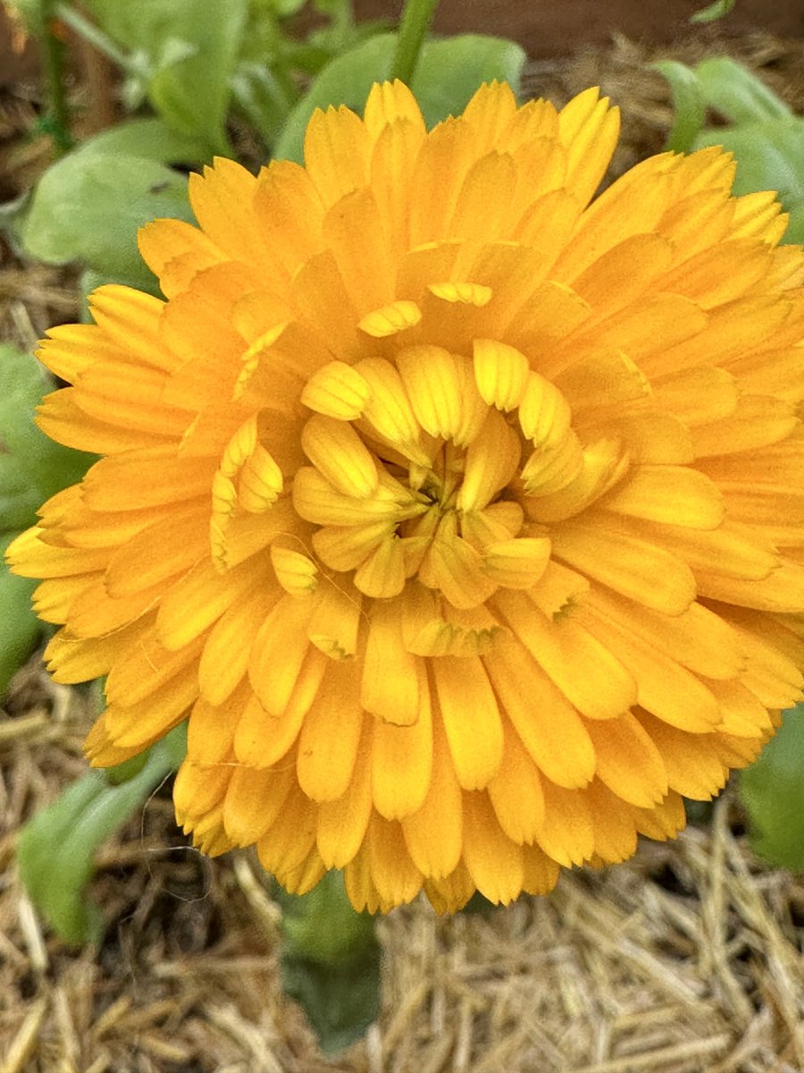 btleparadis's tweet image. Bonne journée 💛💛💛