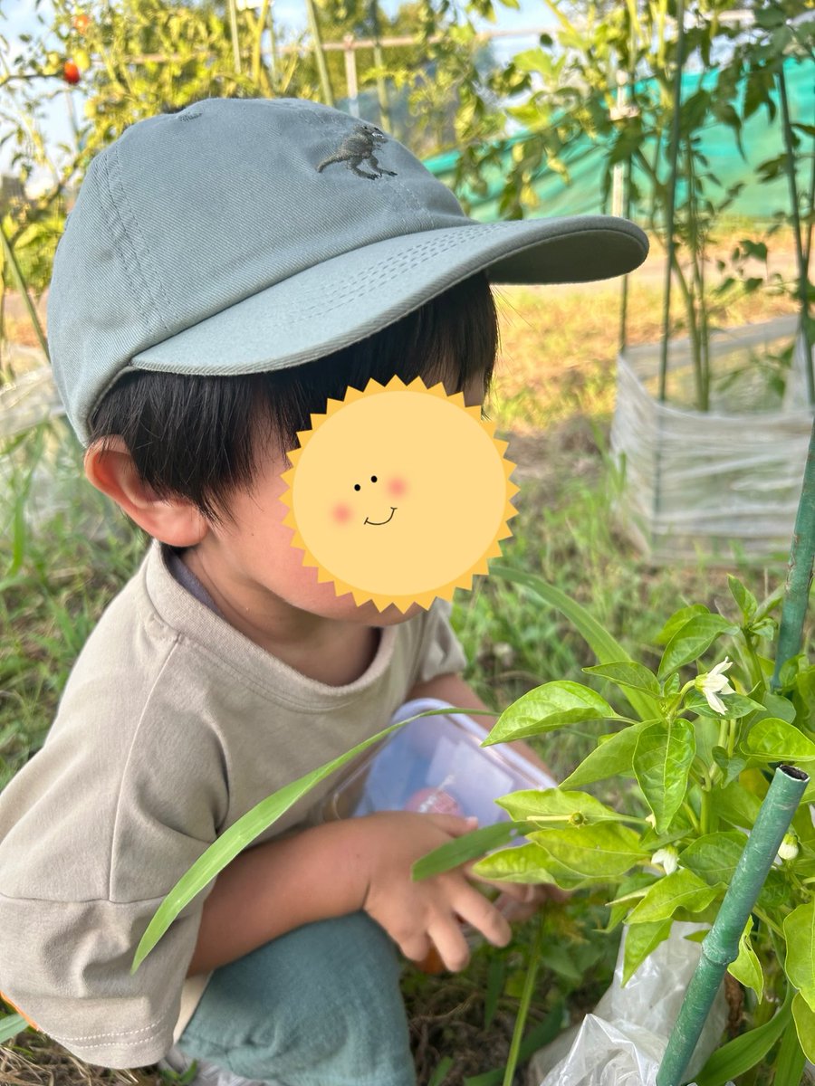 Gum1214's tweet image. 今日は実家に行って来たのですが甥(3歳)が飛び付いてくるわ乗っかってくるわアクティブに戯れてきてまさに1枚目みたいになっていました
たぶん私女だと思われていない🤣
そんな彼はピーマンの赤ちゃん(3枚目)に夢中🫑💕
伯母は産毛の生えた胡瓜ベビーにメロメロでした🥒💕
#イラスト
#男の子