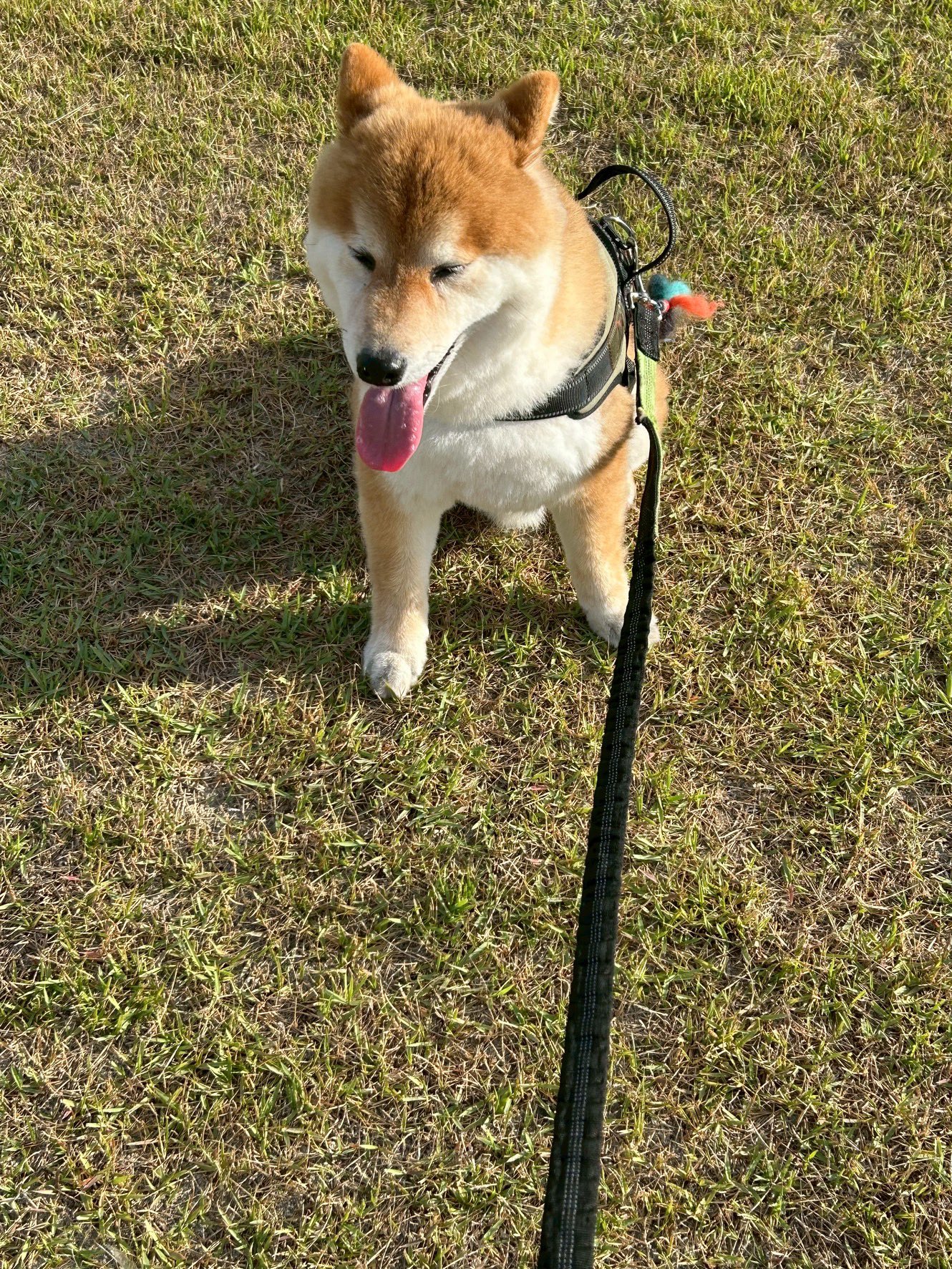 おぽん (@PonponOpon126) / X