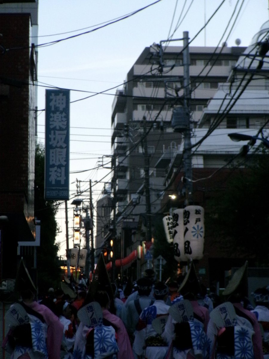 quietcatglow's tweet image. お祭りに遭遇