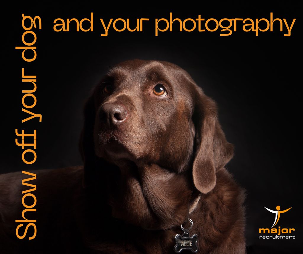 It's the weekend, and we're lifting our spirits with adorable dog photos! Today is #NationalDogPhotographyDay, and we're all in for celebrating! 

#doglovers #puppylove #dog #dogs #dogphotography