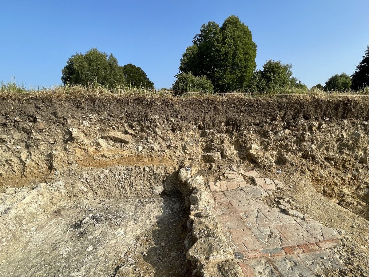 Richard Smith (@rsmithsoil) on Twitter photo This soil profile looks almost natural!
A wonderful archaeological dig at the site of a former abbey, Cerne Abbas. This soil profile looks almost natural!
A wonderful archaeological dig at the site of a former abbey, Cerne Abbas.