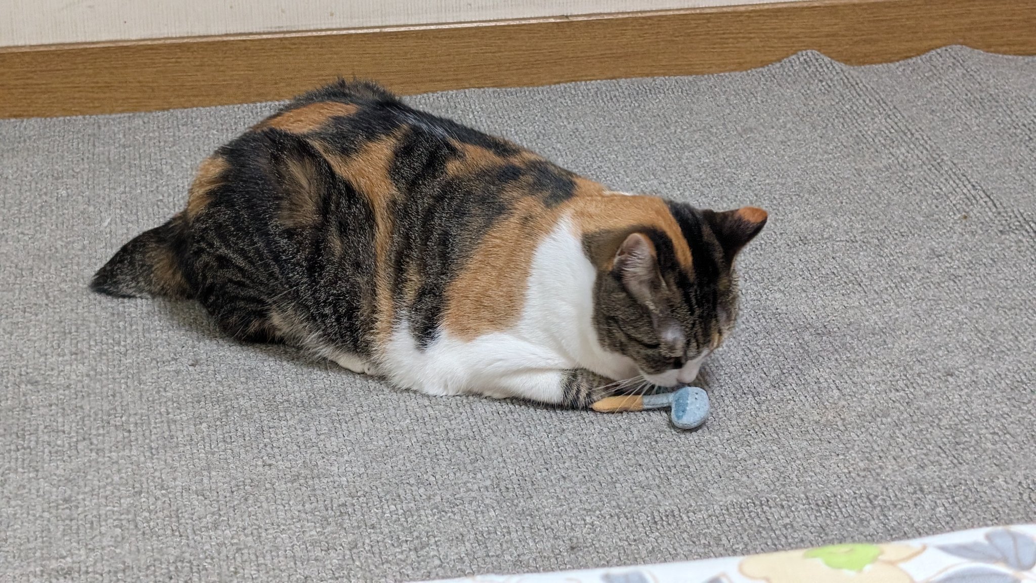 ねこ@おまとめ歓迎  hqdefault.jpg