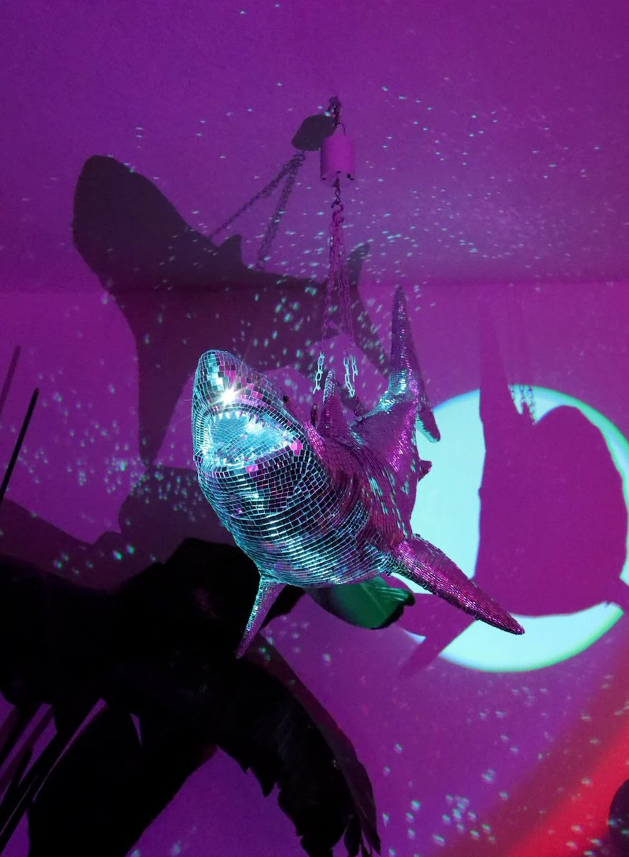 devabram's tweet image. My wife and my kid: "Wouldn't be cool to have this disco shark."
Disco Shark: "3k please."