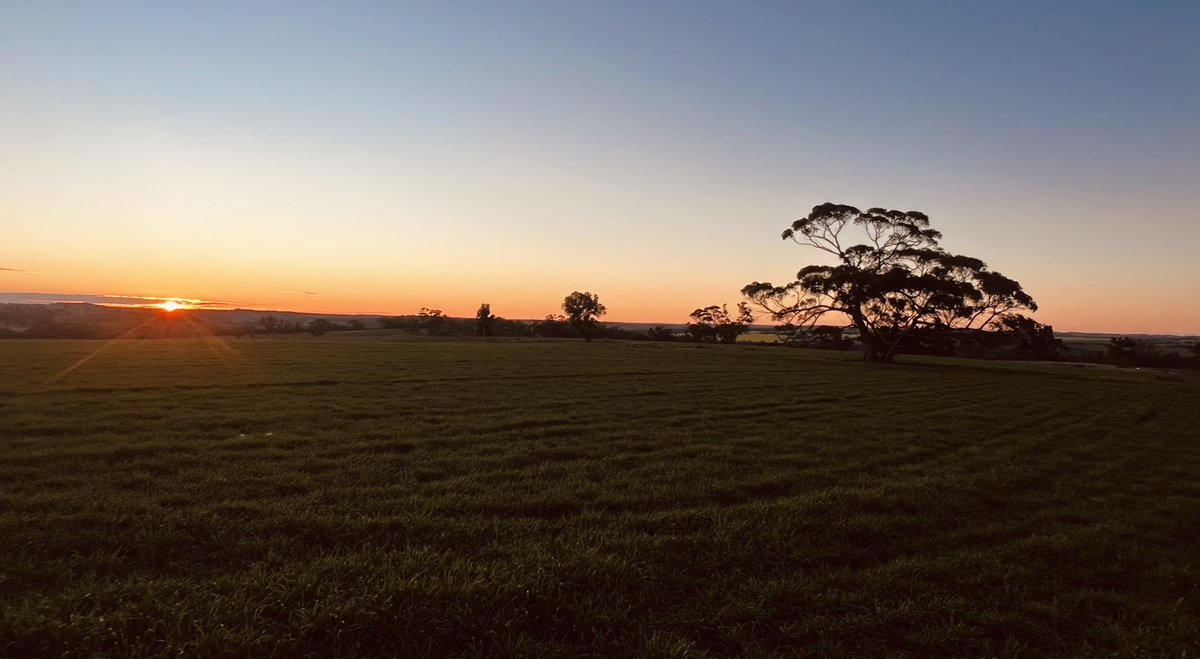 My thinking spot on the hill. Processing the worlds problems