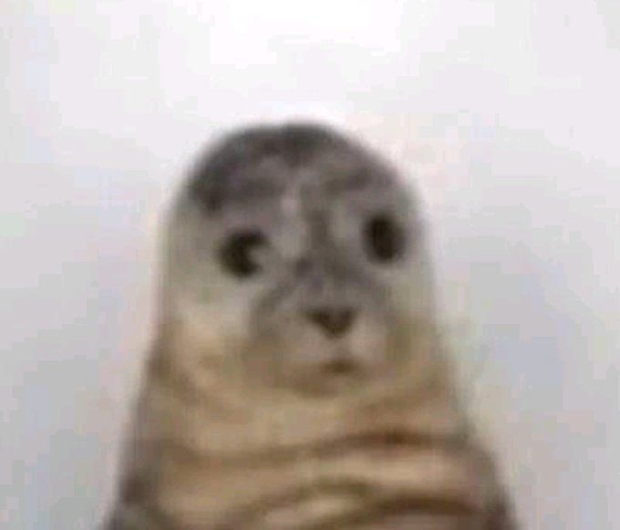 BRASILESTAT's tweet image. Eu dormi mal pra caralho no repouso até pq ninguém dorme bem num lugar daquele muito menos com 4 roncos diferentes no meu lado mas eu tô tão eufórica que n sei se vou conseguir dormir em casa