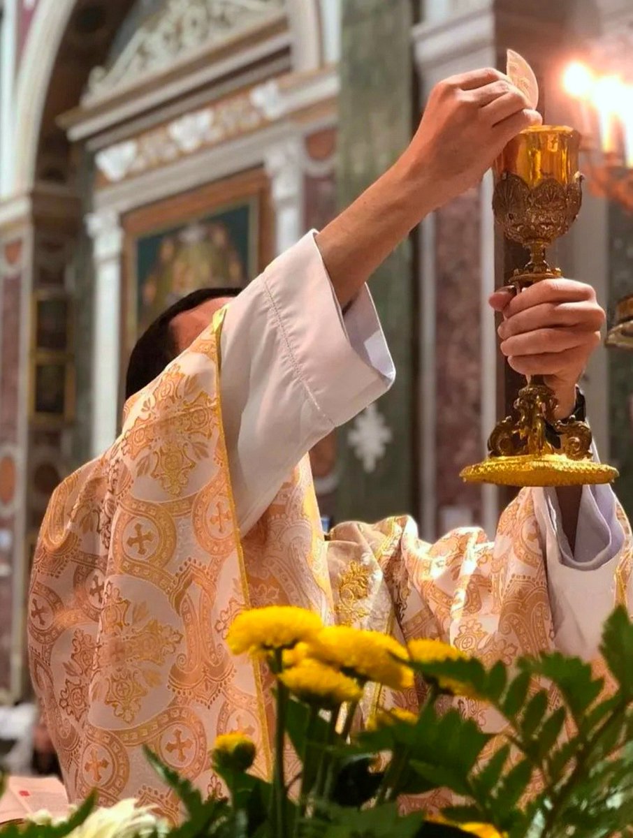FatherJacek's tweet image. Zauważyłem pewien powtarzający się [nie tylko na X] schemat: otóż wiele osób posiada nieprawdziwy i zniekształcony [przez media, przez rzadkie ale negatywne przypadki?] obraz kapłana. Najwięcej o nas samych mogą powiedzieć rodziny, z których pochodzimy, aktywni członkowie naszych…