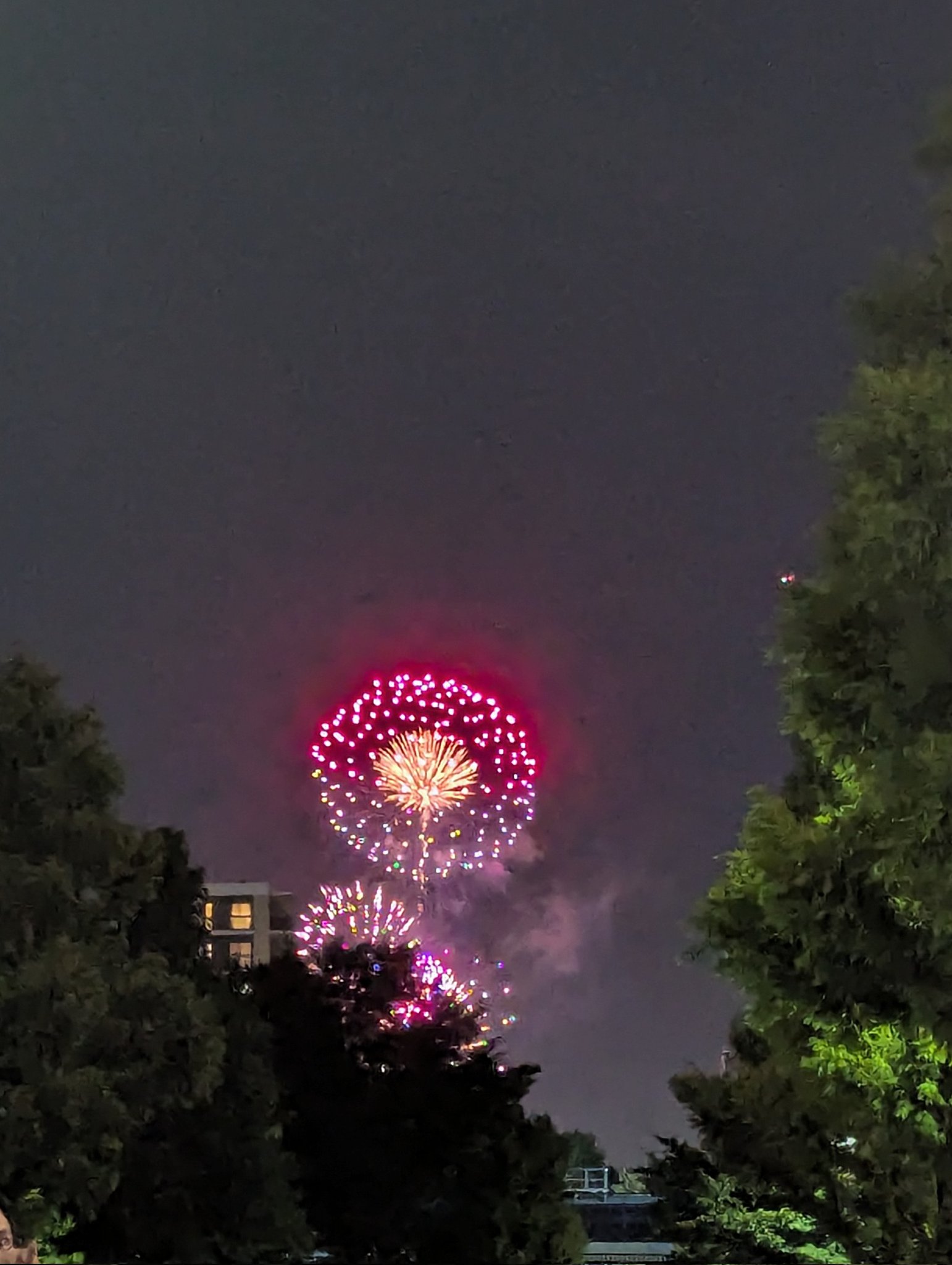 花火 速報・2025柏崎花火】大型ベスビアスワイドスターマイン「光速の