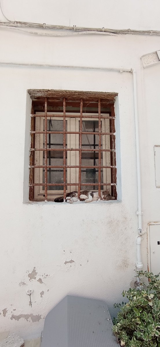 FoodMeditations's tweet image. Life is good 💯