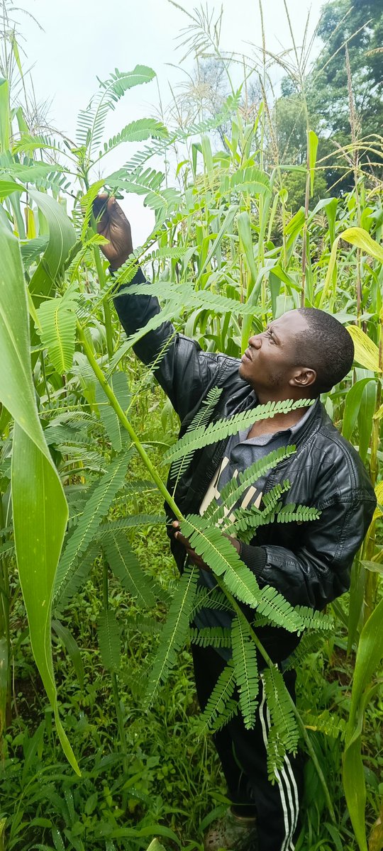 In 2015, the world made history at COP21 with the Paris Agreement. Vulnerable nations led with courage, showing ambition isn’t luck,it’s people demanding &amp; delivering change. Let’s keep pushing for our planet! #ClimateChange #COP21