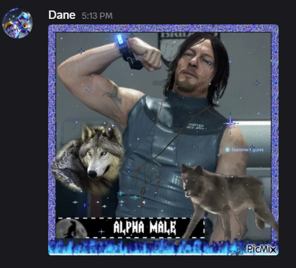 AliceInWalls tweet media