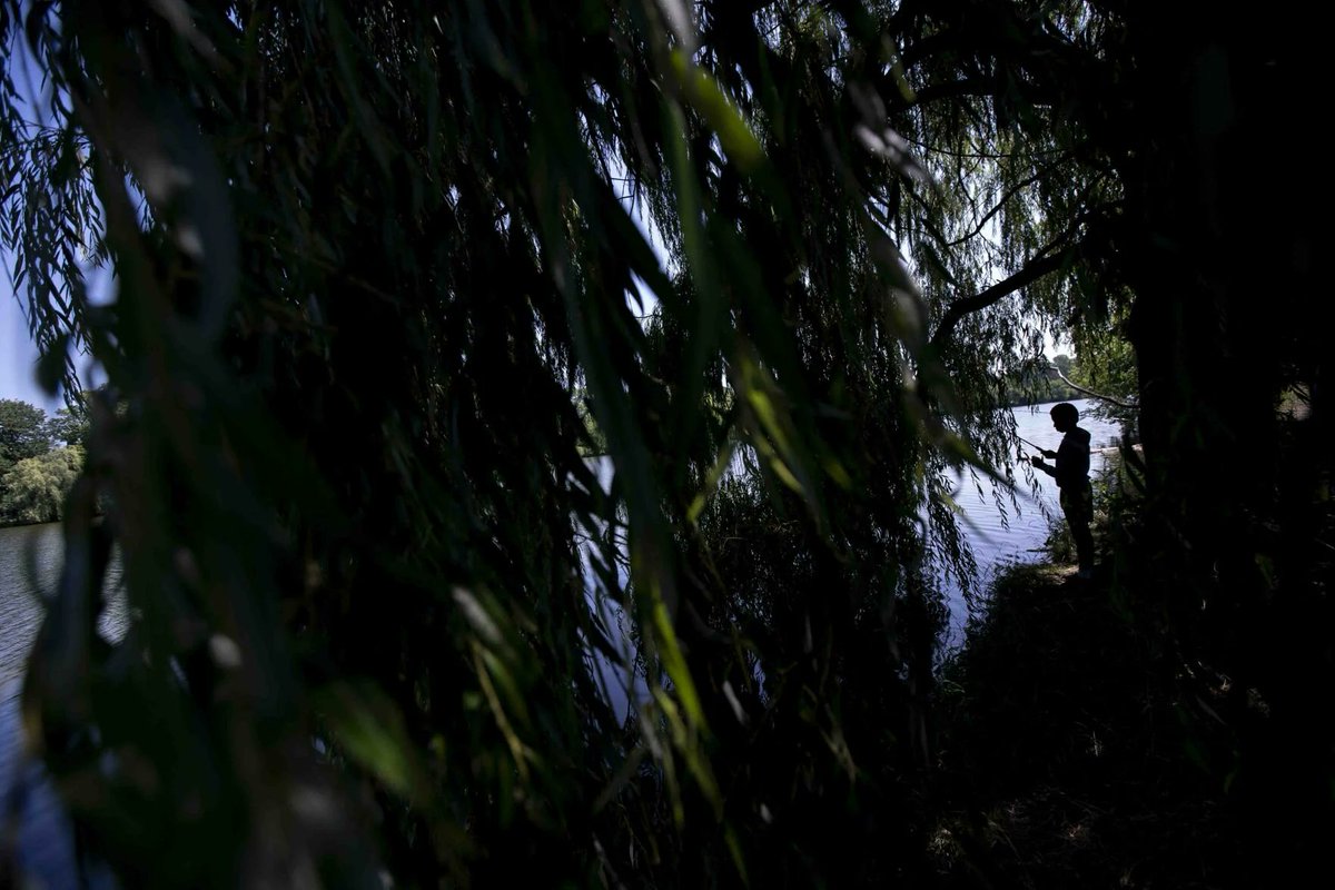 Jah’Zi Kennery, 10, fishes in the shade of a large willow tree at Hoyt Lake in today's #EveryDayAPhoto by Libby March.
buffalonews.com/multimedia/col…
