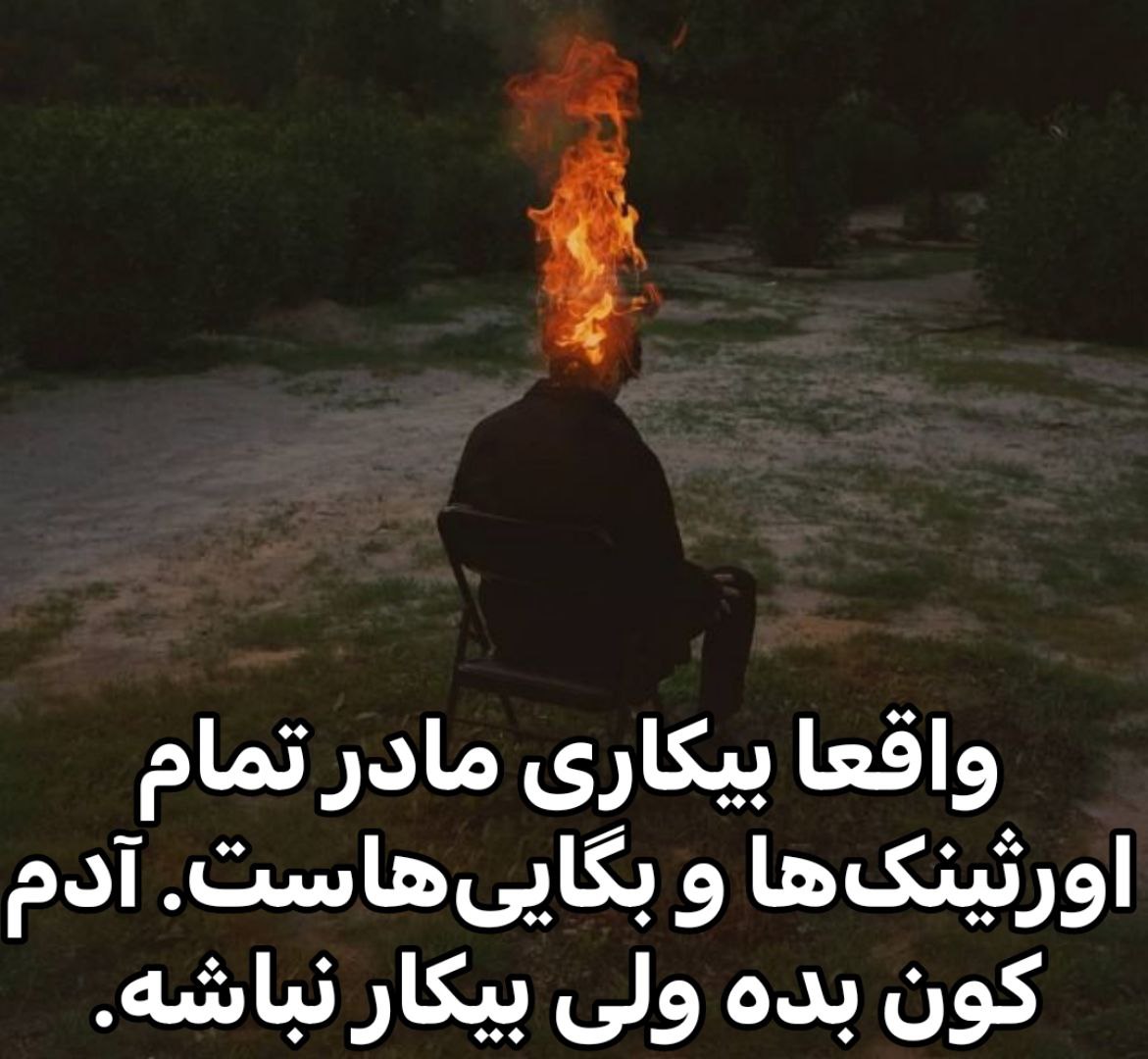 379Talks's tweet image. 
