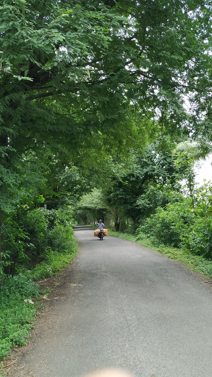 Let’s see some country lane