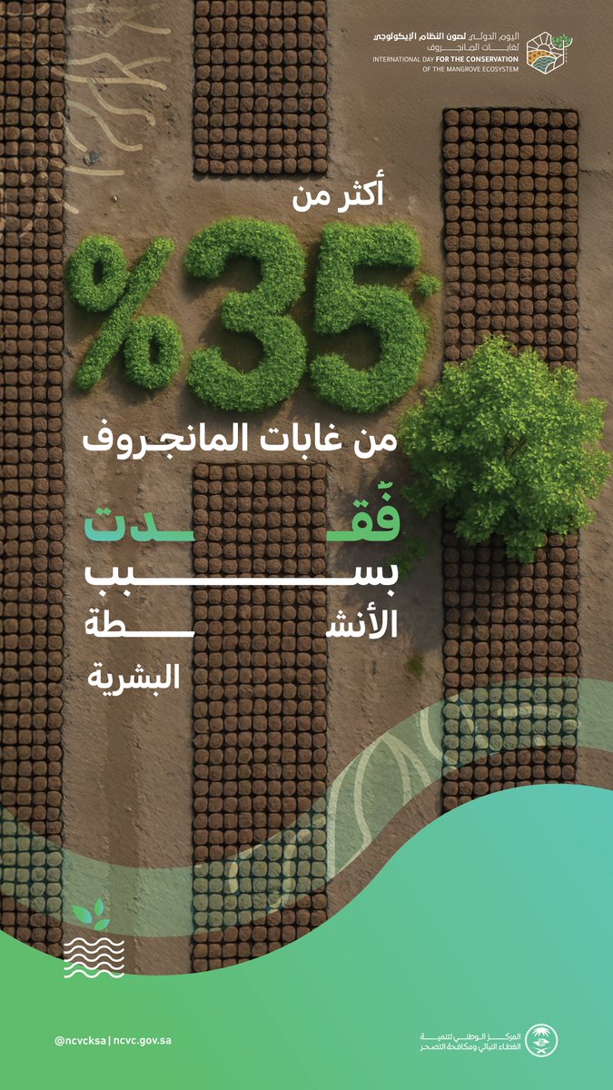 ncvcksa's tweet image. الأنشطة البشرية مثل التلوث ورعي الإبل، من أبرز المهددات البيئية التي تؤثر على الاستقرار البيئي لغابات المانجروف.
#اليوم_الدولي_لصون_النظام_الإيكولوجي_لغابات_المانجروف