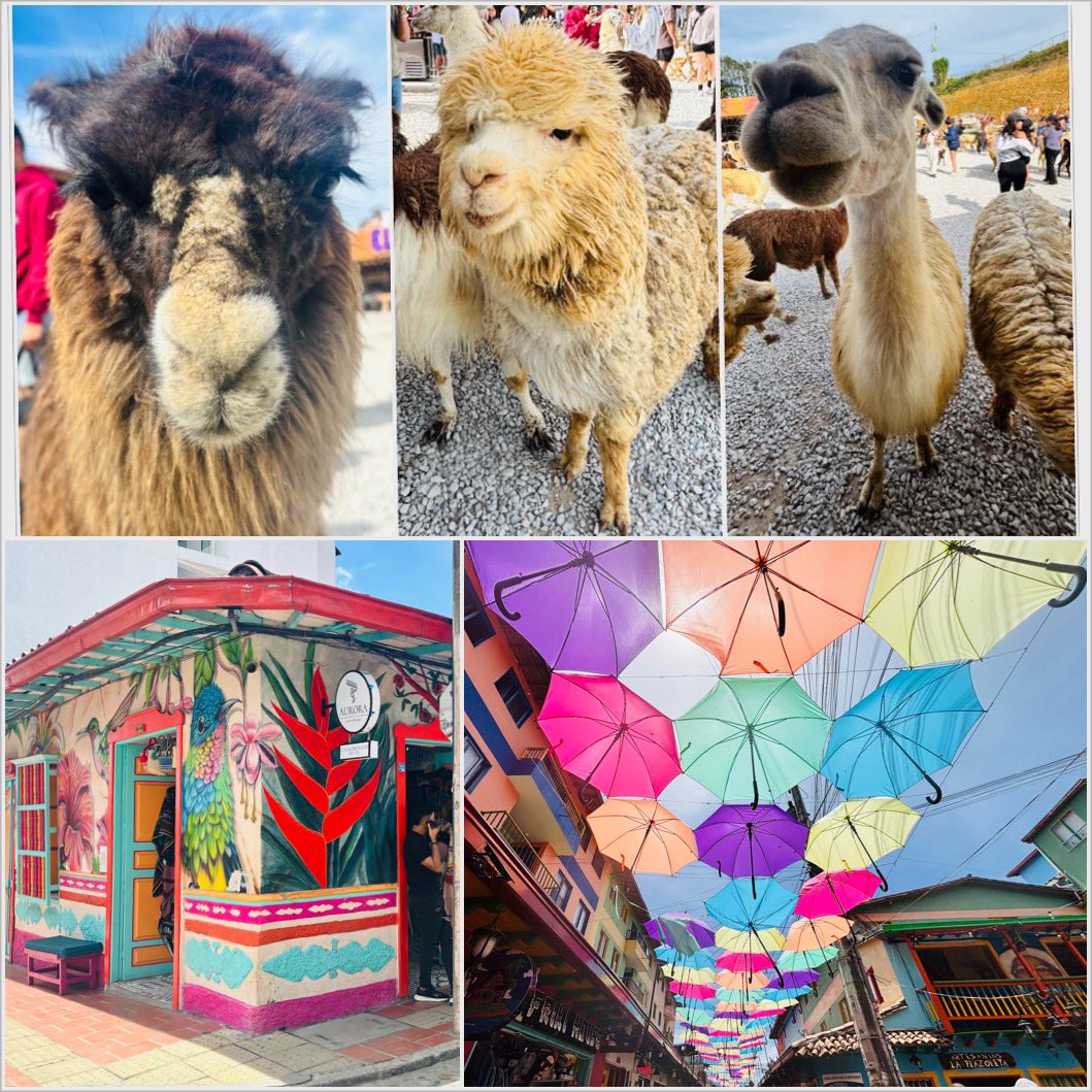 MissCDFarran's tweet image. Welcome to wondrous #Guatape, a colourful and artistic town known for its 780-steps rock and its βzocalosβ, wall carvings to decorate homes. πππΌββοΈπ¨π΄