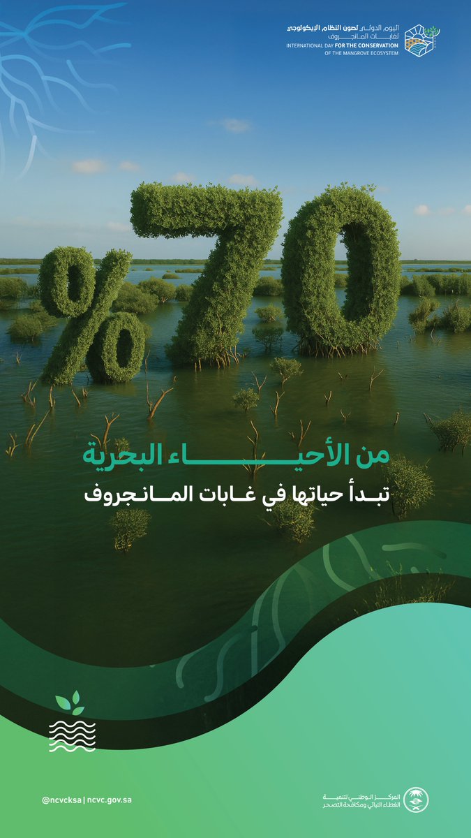 ncvcksa's tweet image. في #اليوم_الدولي_لصون_النظام_الإيكولوجي_لغابات_المانجروف نؤكد أهمية هذه الغابات في حماية الشواطئ، ومكافحة تغيّر المناخ، ودعم الحياة البحرية وتوفير الموائل الطبيعية للطيور المهاجرة ودعم اقتصاد المجتمعات المحلية