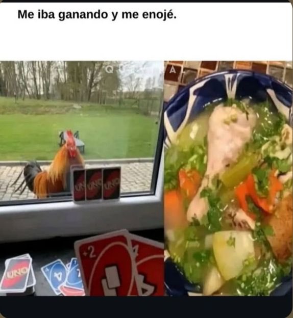 C3joTCT's tweet image. Buenos días 🐓