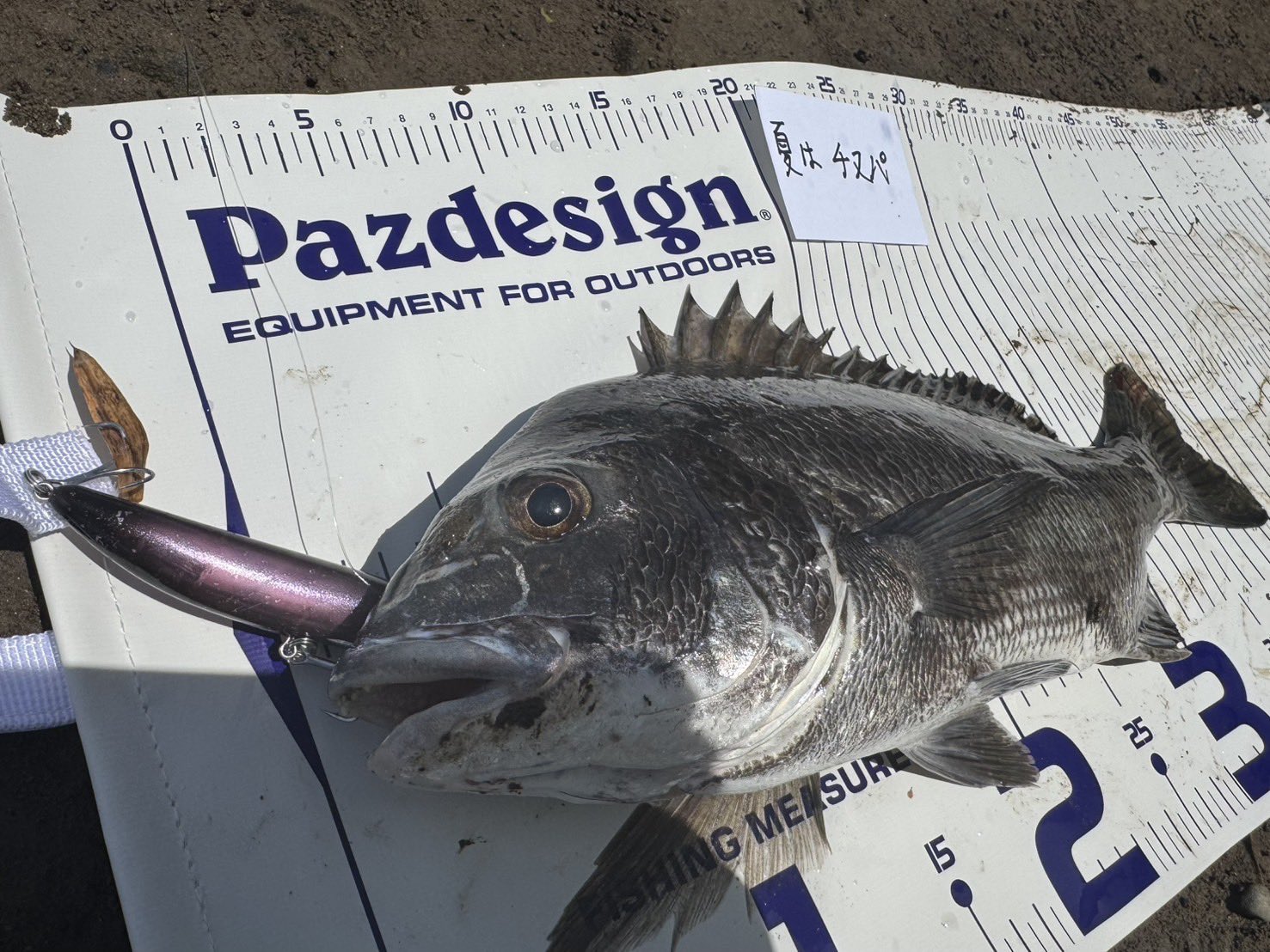 パズデザイン Pazdesign | PRODUCTS | VEST ZFV-032