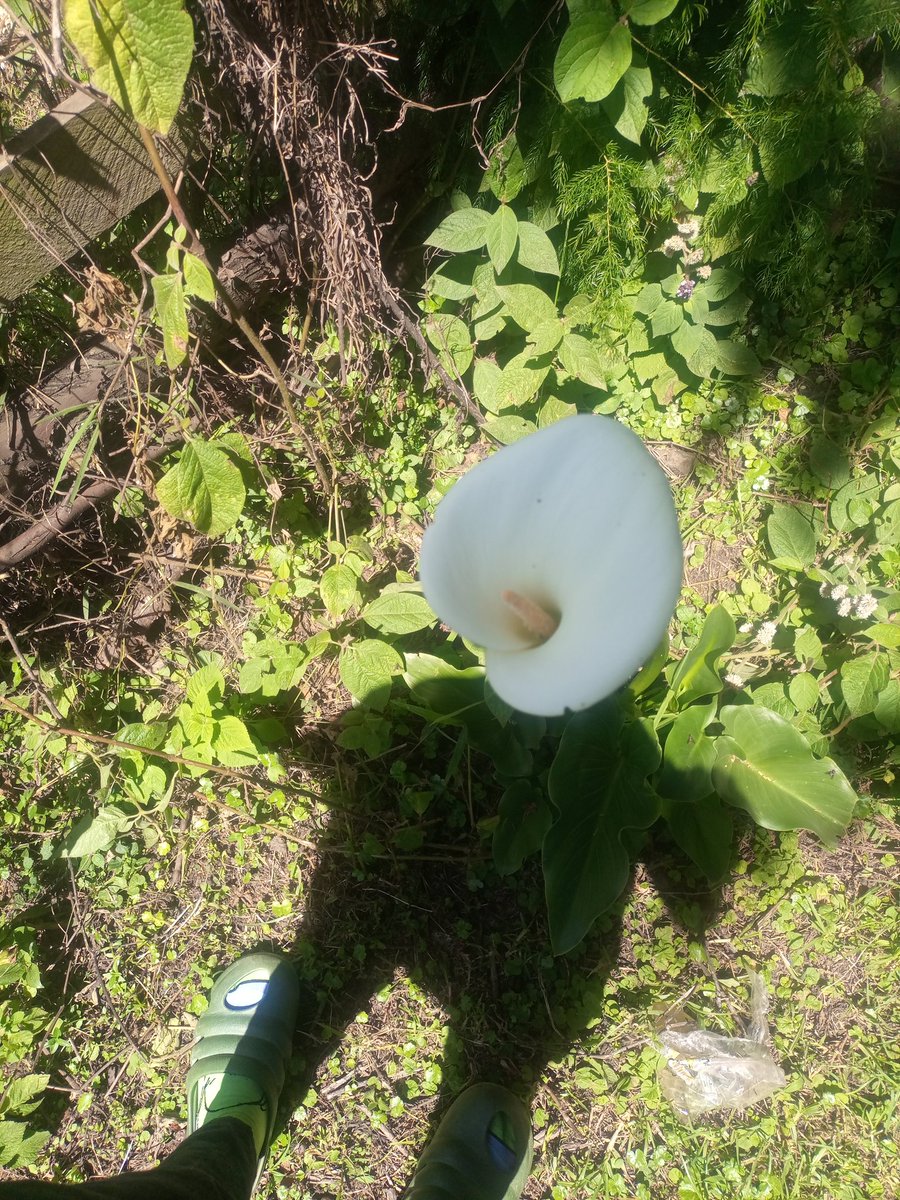 Val254_'s tweet image. Connecting with nature 😍