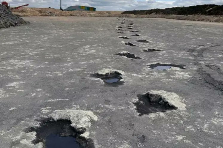 FDinosaurios's tweet image. Los dinosaurios también seducían bailando y dejaron huellas de su ritual amoroso en Colorado hace 100 Ma (vía @muyinteresante @sciencedirect)
Un hallazgo fósil en Colorado revela que los dinosaurios no solo cazaban, también realizaban danzas de cortejo.
n9.cl/im1wg
