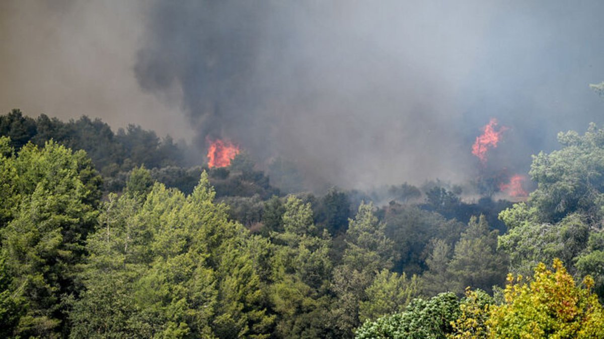 d_imerodromos's tweet image. Πυρκαγιά στην περιοχή Πιτσινάδες Κυθήρων – Μηνύματα εκκένωσης από το 112
imerodromos.gr/pyrkagia-stin-…