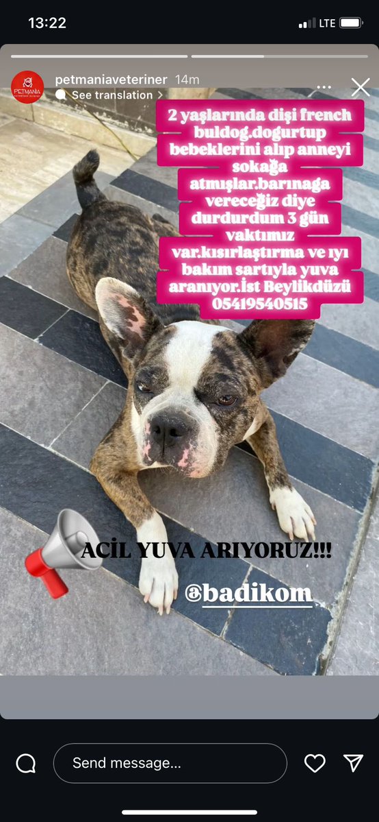 AysemOzleyis's tweet image. ACİL YUVA🙏🏡🙏
Sevgi dolu bir yuvayla tüm kötülükler son bulsun🙏
@masum_gozler 🌸🐾