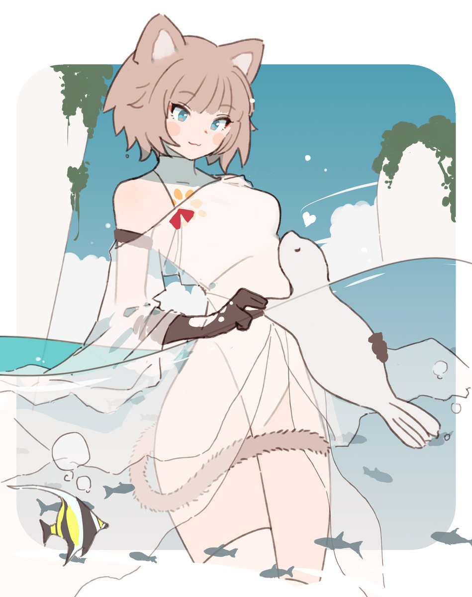 TsukudaniYosuke's tweet image. 海ねこさん