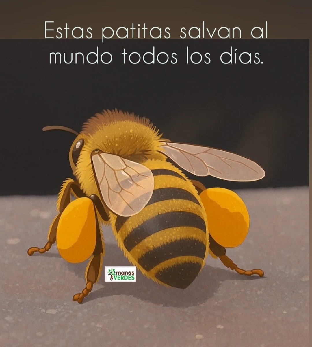 Rincón Curioso (@rincncuriosoo) on Twitter photo 