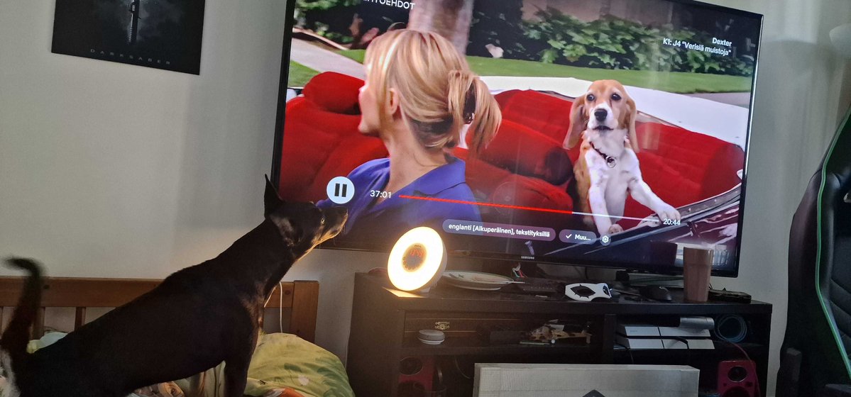 18Machu's tweet image. i dont think my dog likes the dog in dexter, but thats just a slight suspicion...