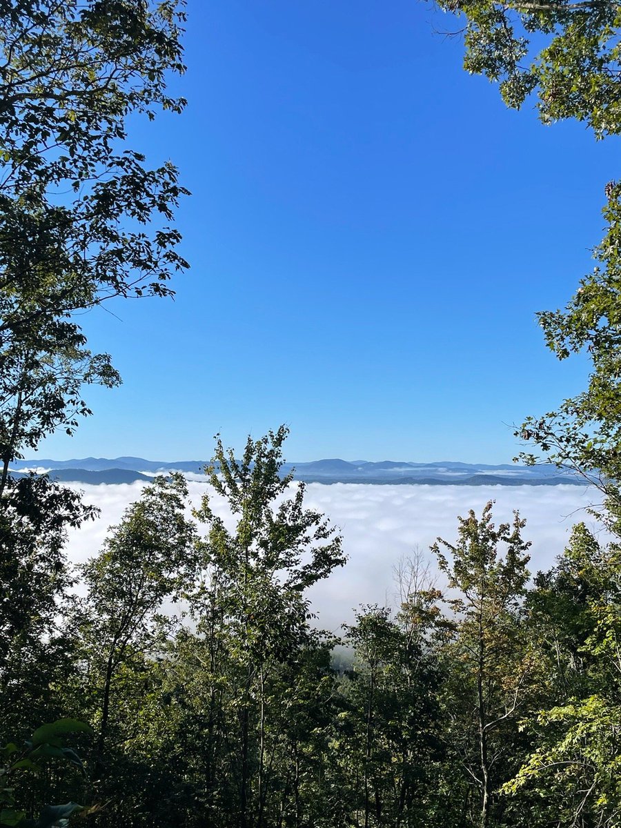 bsmith8643's tweet image. Good morning everyone! Its a great day to get some work done outside and then go hang out with some friends this evening. Hope everyone has a great day!