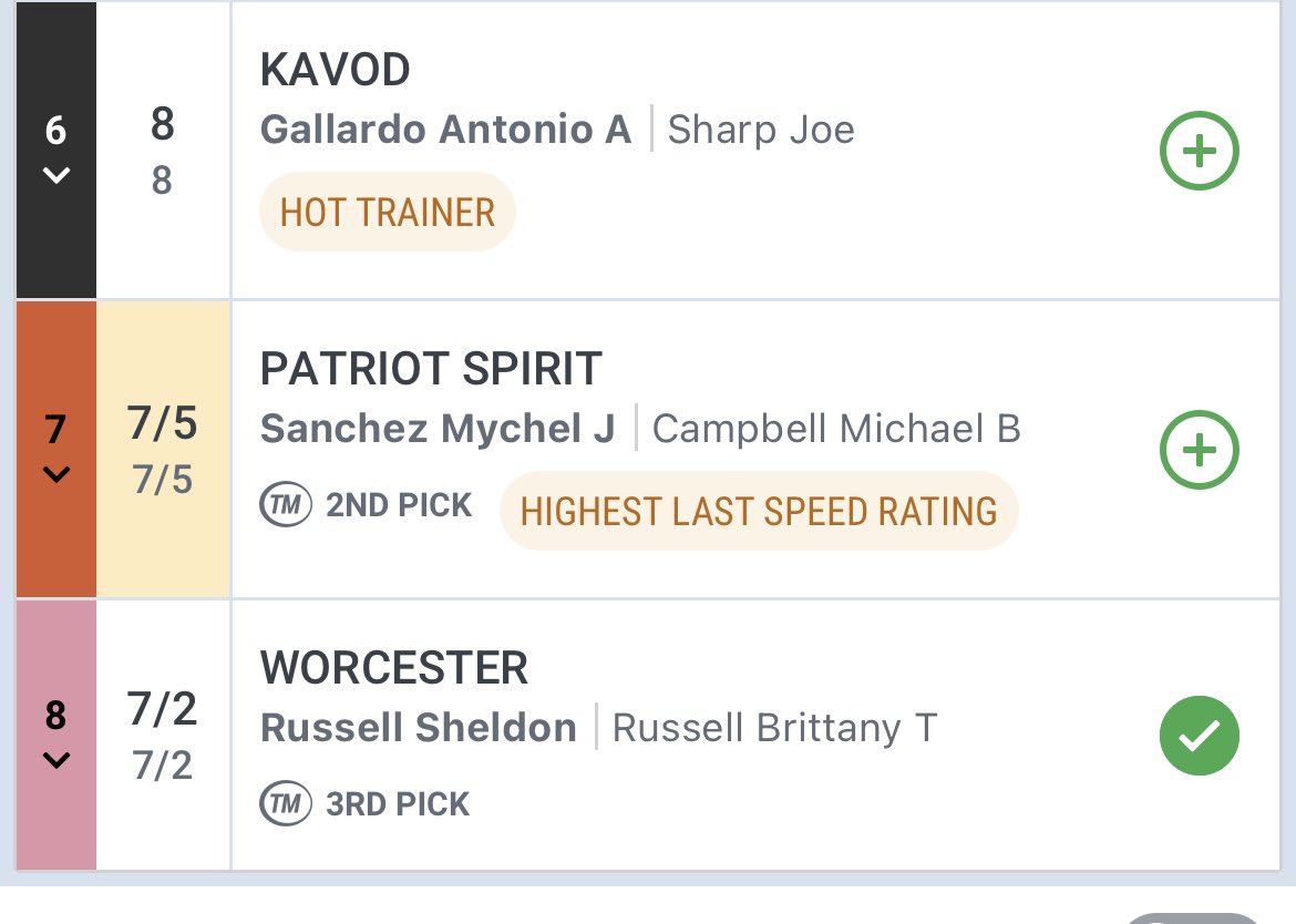 Let’s Go Worcester 🐎😁