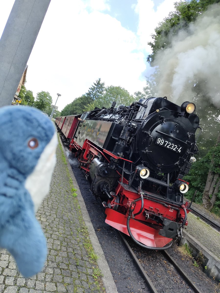 Jetzt wird was bestiegen :3