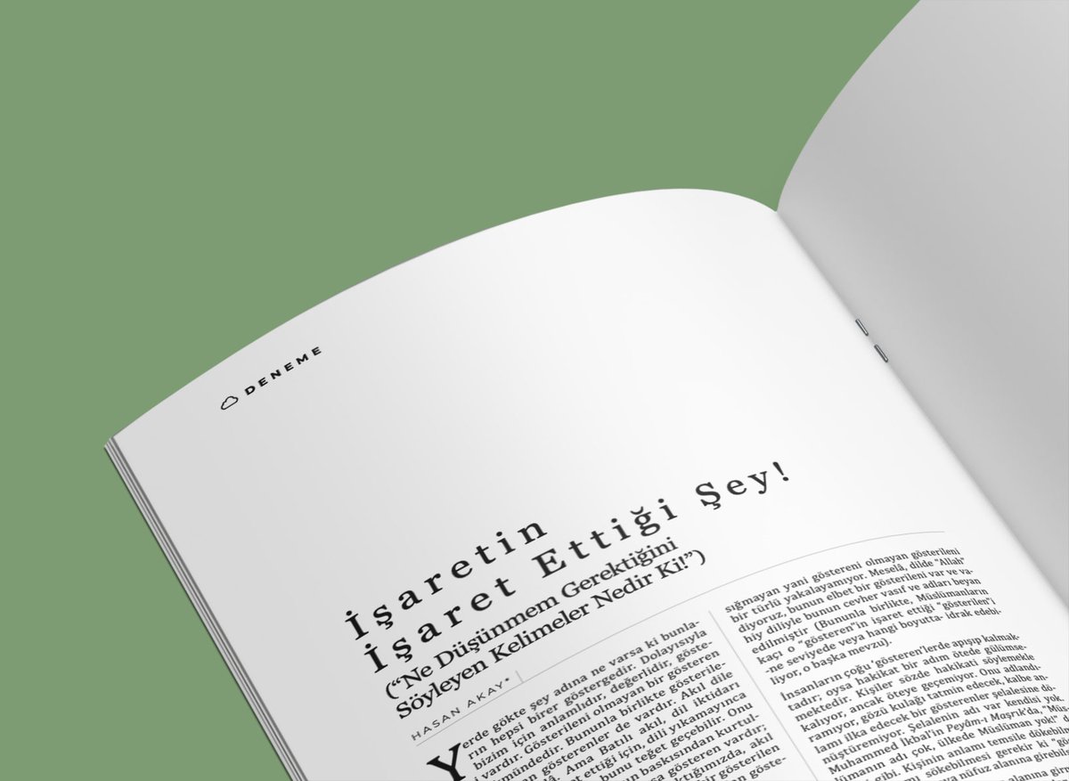 İşaretin İşaret Ettiği Şey! / Hasan Akay