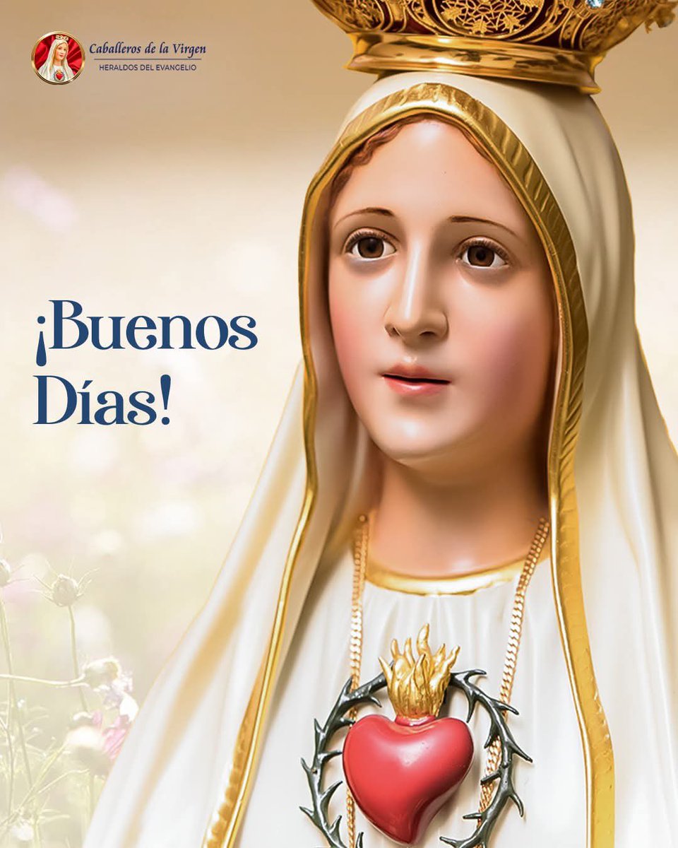 Buenos días 

Que la gracia divina ilumine tu andar, que María te cubra con su ternura y que cada paso sea guiado por la fe. Hoy es un nuevo comienzo: ama, confía y da gracias, porque en lo sencillo habita el milagro de Dios. Bendiciones para tu jornada.