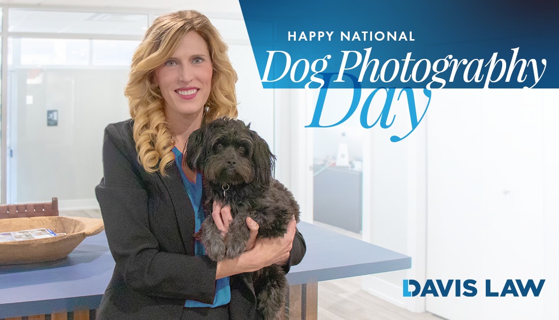 Today is #NationalDogPhotographyDay so we thought we'd share this photo of our own Linsay Warren's dog Holly. As far as office dogs go, you can't beat Holly's work ethic because when times get "ruff" she's always there to "bark" down the opposition! 🐾