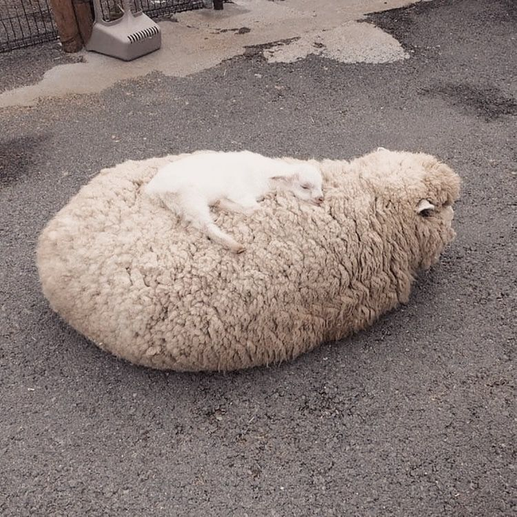 La vie est belle (@lavieestbelie) on Twitter photo 