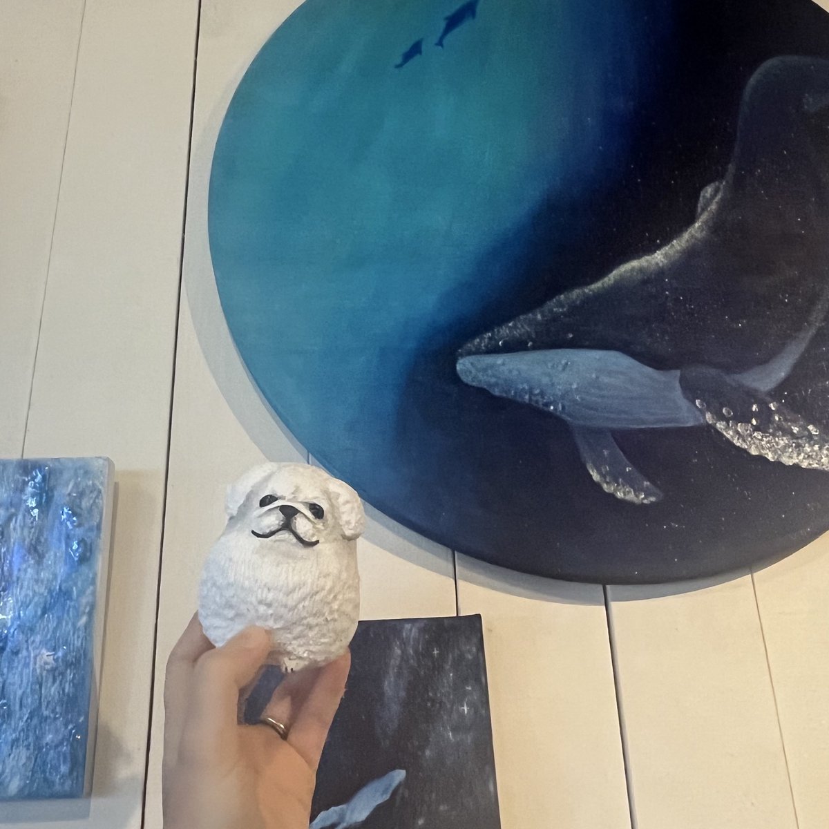 kyanecoxx's tweet image. オーダー会ありがとうございました!
本当に本当に暑い中足を運んでくださって感謝です🙇♀️
しっかり水分塩分取って頭守って暑さ対策してくださいね😭✨
次のオーダー会は8/23です!
店内の海の生き物展は7/28までです、
作品で涼んでいただけたらと思います☺️✨