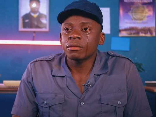 _MakdShelby's tweet image. Seeing them bros in the comments tryna make sure I dont get that tender from Ostimbo , hanzi wenhamo ngaimuwanire panzvimbo