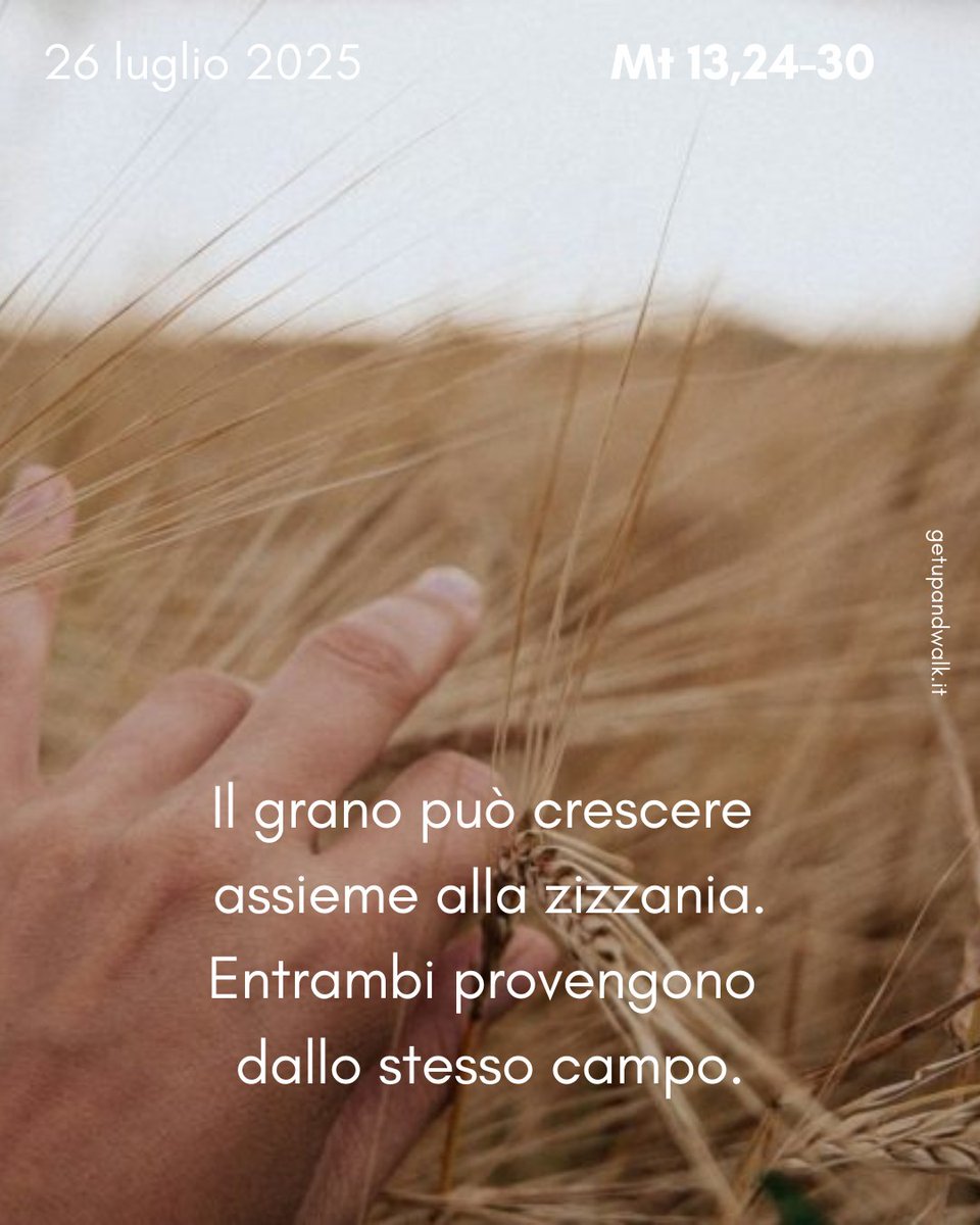 _getupandwalk_'s tweet image. L’#agricoltore non deve incolpare i proprietari dei campi vicini, bensì con difficoltà diventa #consapevole di quali condizioni hanno facilitato la crescita della #zizzania.
 getupandwalk.gesuiti.it/2025/07/26/la-…